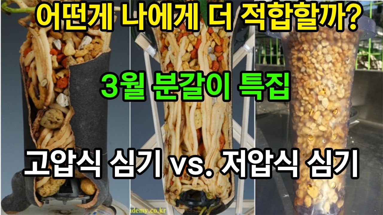 154편 대,중,소립 난석의 함수량 [춘란,풍란,약초,명장,다육,난초,주식,재테크]