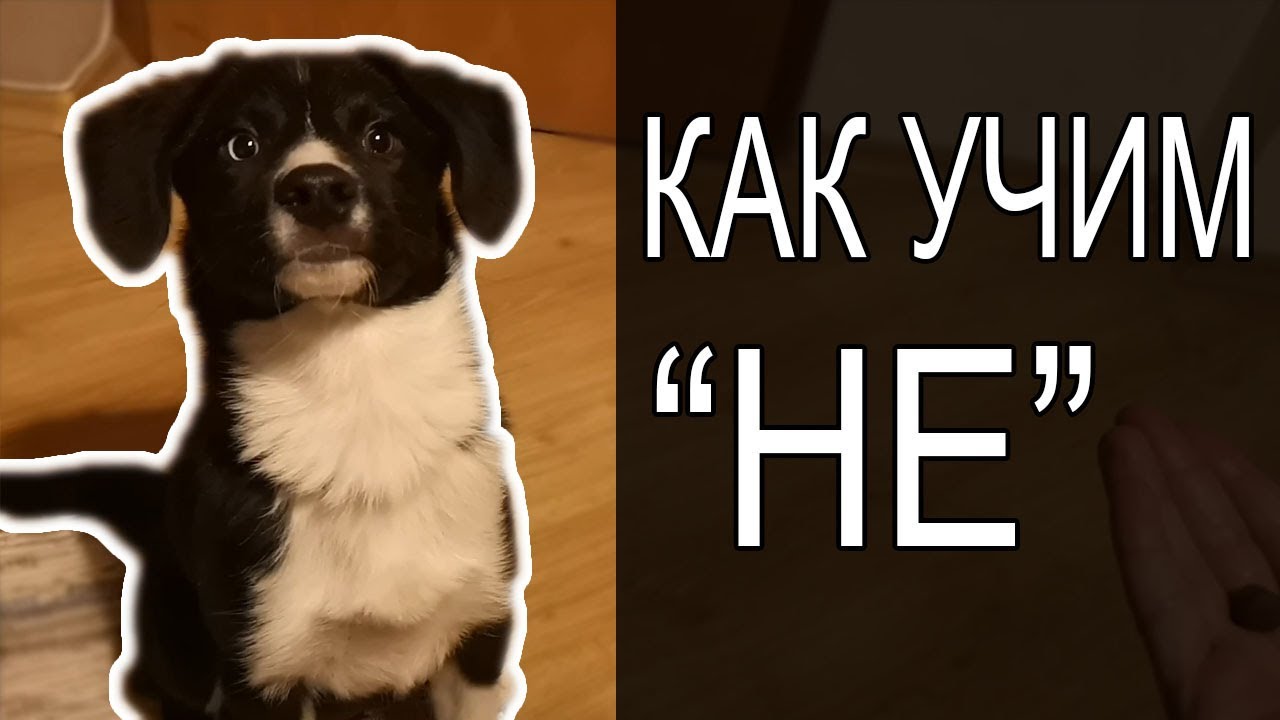 Кратка вечерна тренировка и дума, върху която не фокусираме обучението си, но трябва да обсъдим!