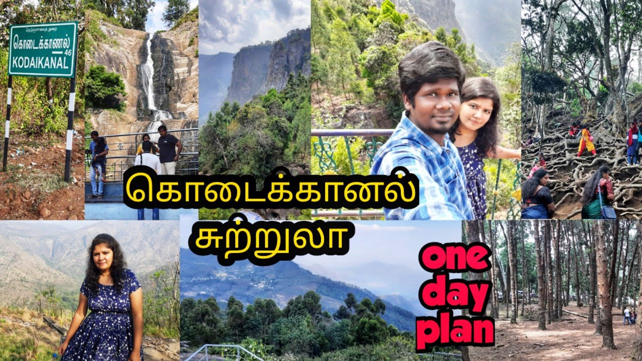 Kodaikanal Tourist Places | கொடைக்கானல் சுற்றுலா | Travel Vlog | One Day Trip With Family | TTV