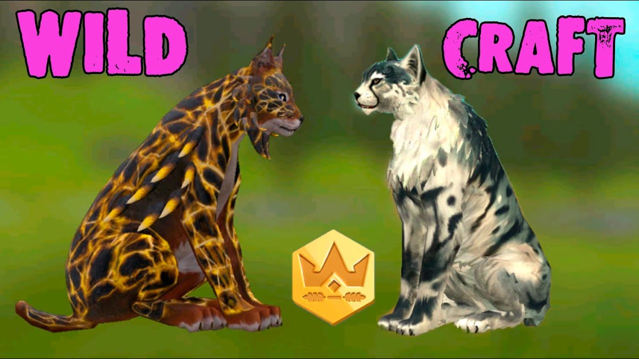 Мистик на рысь, эксклюзив на гепарда и много заданий вайлд пасса 🌺 WildCraft