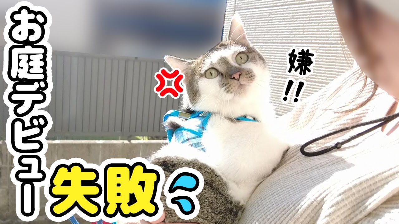 愛猫と庭でピクニックをしようとしたら、怒らせてしまいました