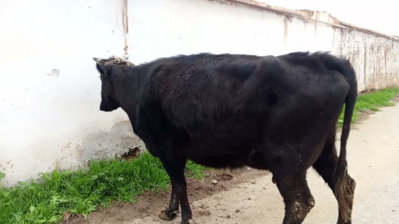 13 марта 2026 г.