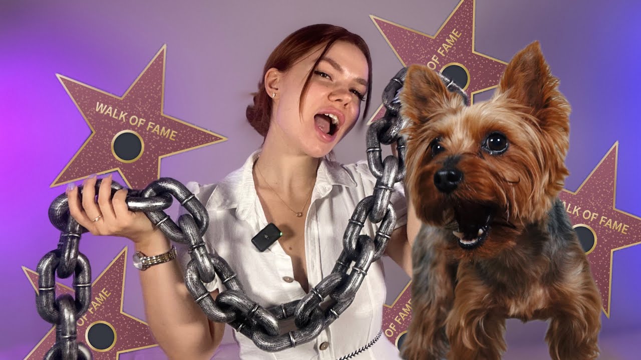Моя собака похищает внимание на Голливудской Аллее Славы!