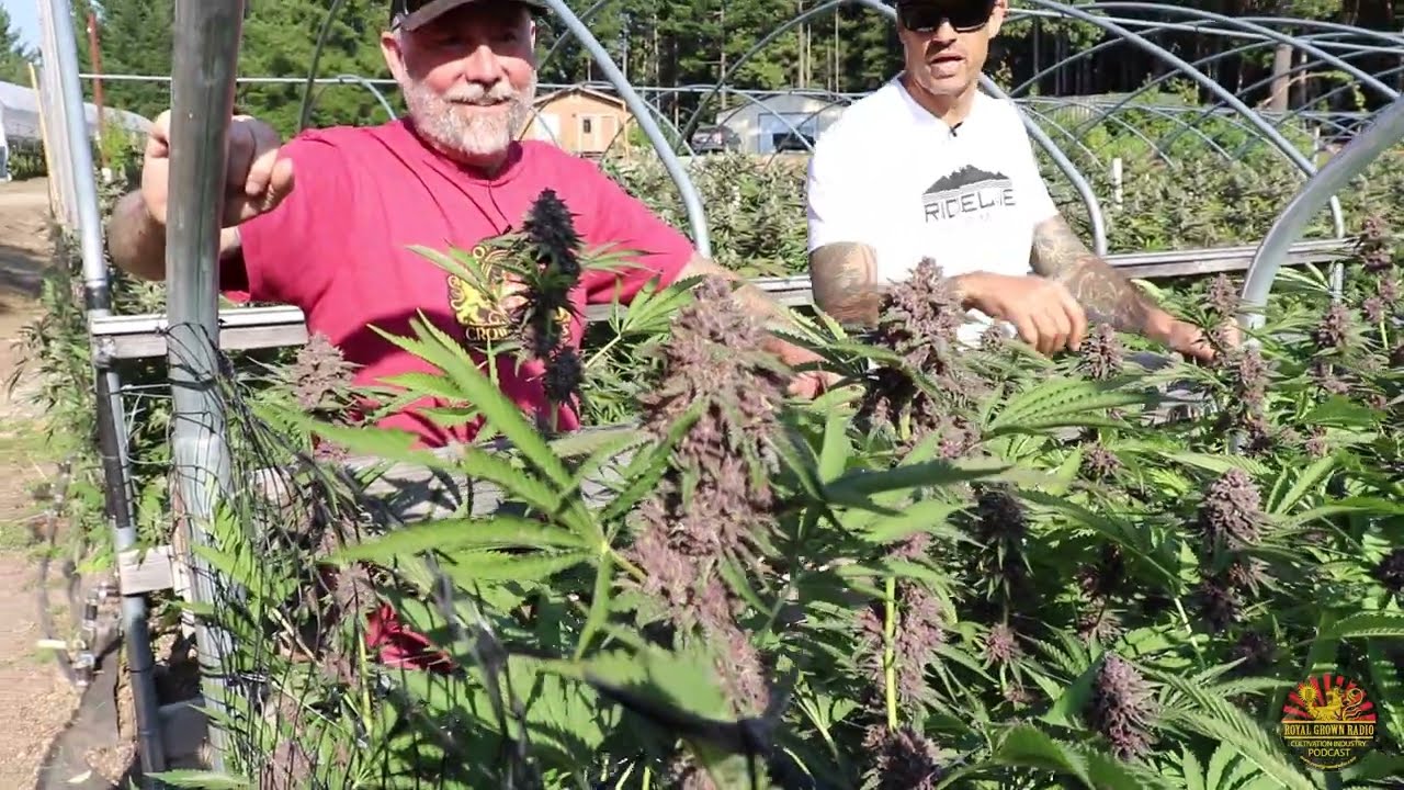 Ridgeline Farms with Jason Gellman - Royal Grown Radio - Mendocino County