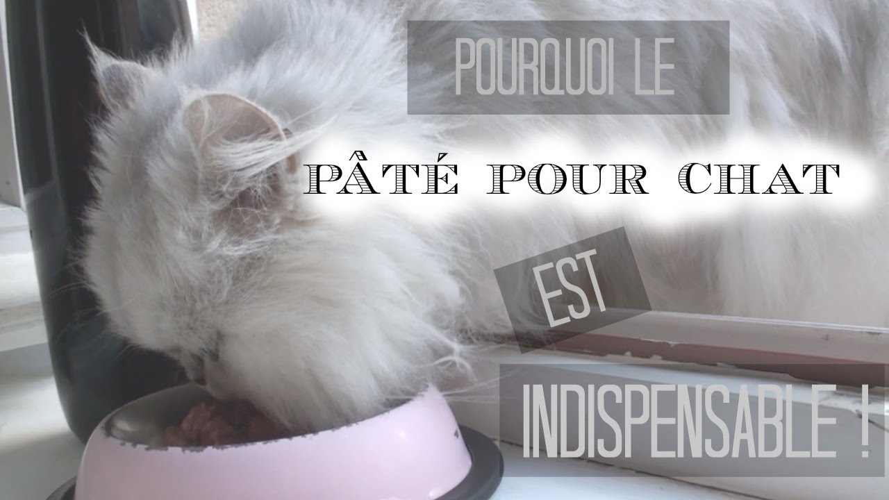 Calculs urinaires, insuffisances rénales : Pourquoi le pâté est indispensable ?