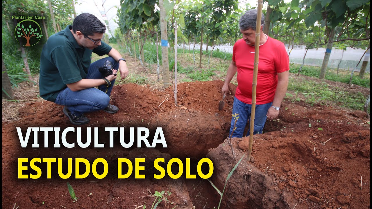 Solo Ideal Viticultura Avaliando o Solo em Cultivo Agroecológico na UPD de São Roque