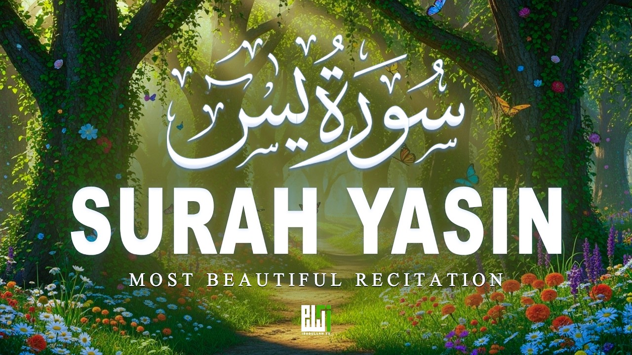 Surah Yaseen سورة يس | Soothing & Beautiful Recitation for Inner Peace by Alaa Aqel | ibadullah TV