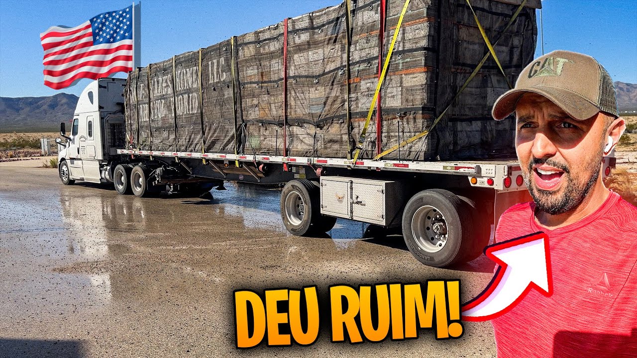 FUI PARADO NA BALANÇA, MUITAS ABELHAS MORRERAM! 🥵🇺🇸
