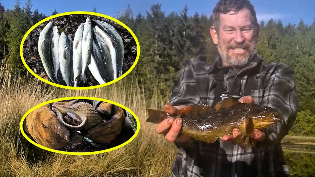 To Survive 75 Days On A Deserted Island And Win A $3 Million Prize, He Actually Ate Rotten Fish