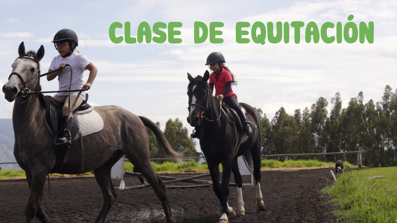 ¿Cómo sería una Clase de Equitación para niños?