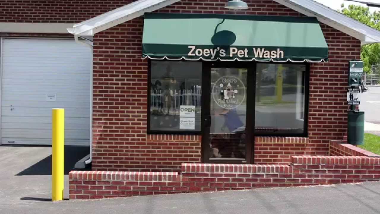 Zoey's Pet Wash and Evolution Dog Wash Video Tutorial | June 2015