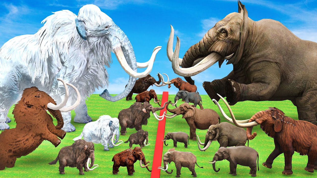 Woolly Mammoth vs Mastodon Fight Which is More Powerful? Prehistoric Mammals VS Prehistoric Mammals