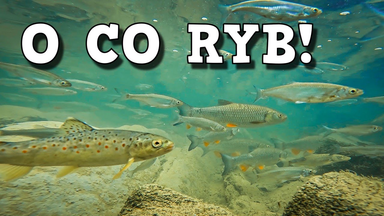 A do tego w końcu duży okoń! 🎣