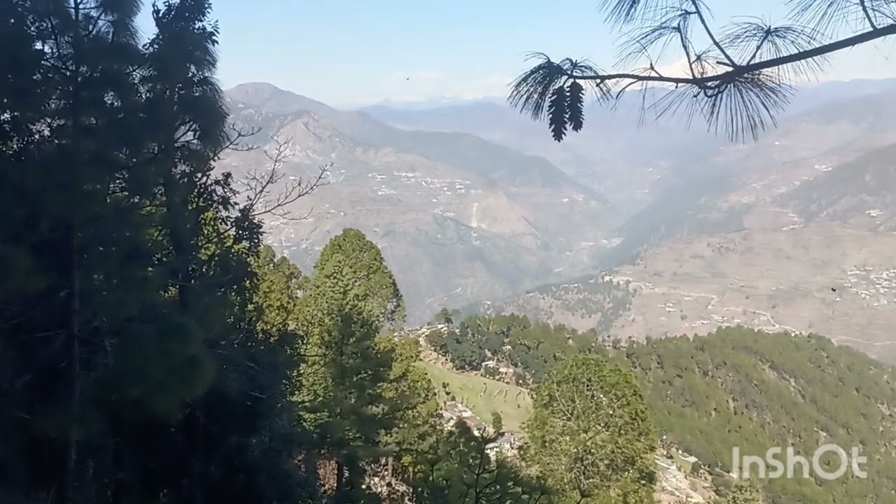 प्रतापनगर और माजफ के बीच में घना जंगल 🌲🍀🌺🌵