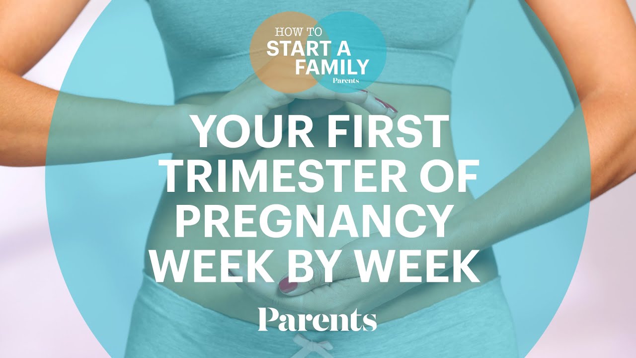 OB-GYN Breaks Down Your First Trimester of Pregnancy Week-by-Week | How to Start a Family | Parents