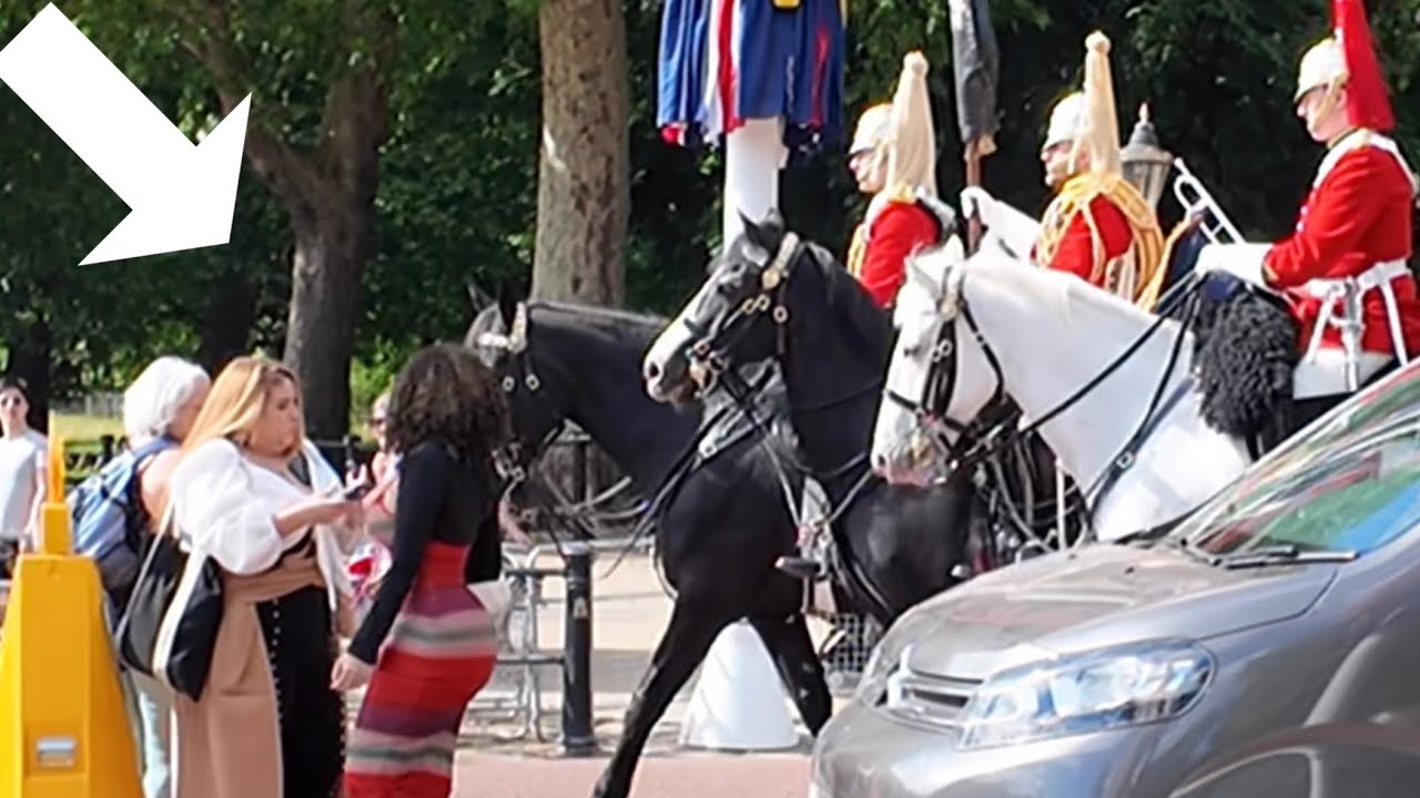 The Pedestrians Provoked the king’s guards horses, horse guard, king’s guards