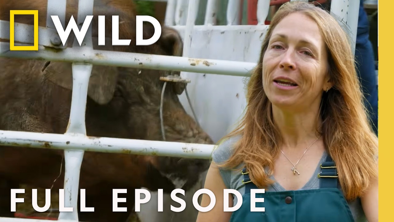 Hump Day (Full Episode) | Dr. Oakley, Yukon Vet | Nat Geo Animals