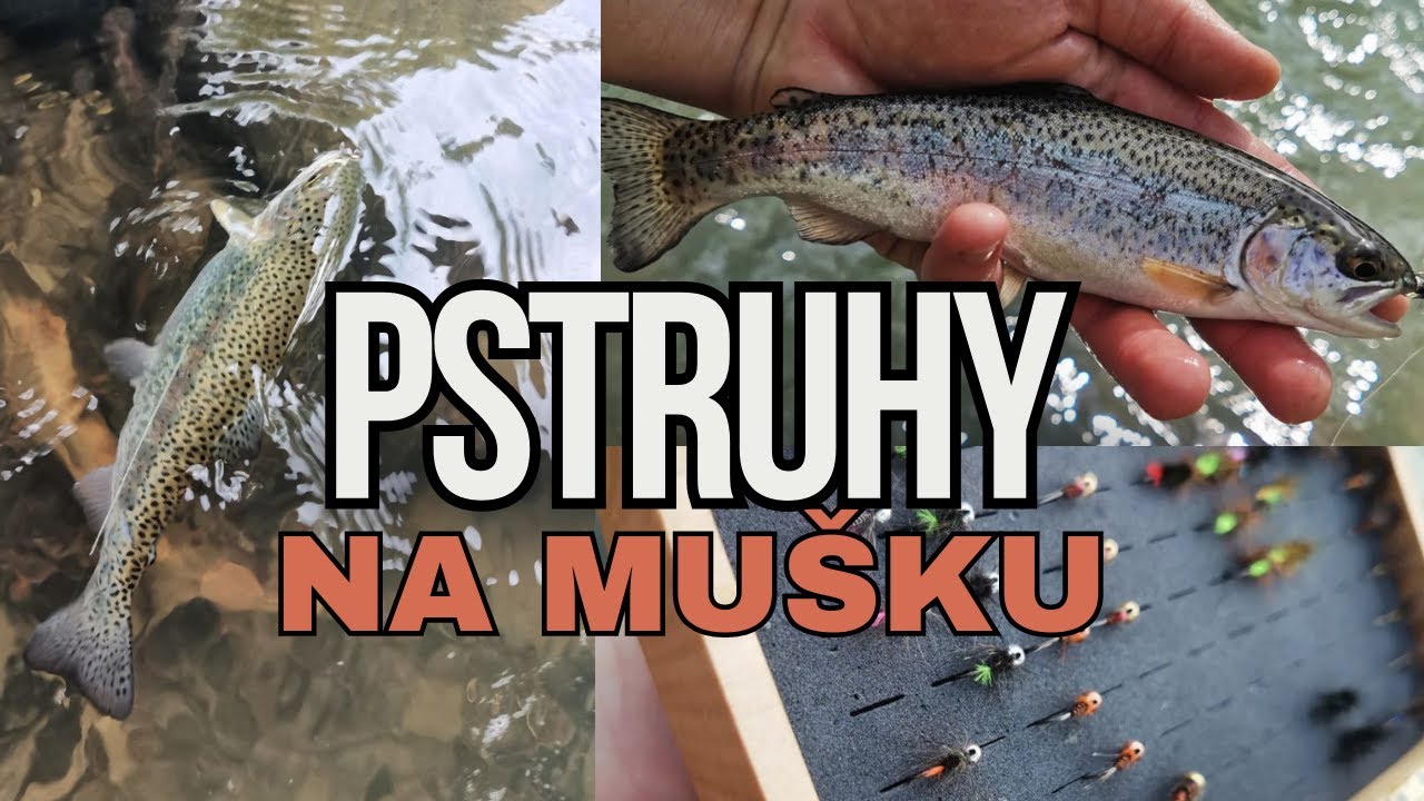 🎣 Pstruh Potočný, Pstruh Duhový, Lov Pstruhov na Mušku, Rybárske Videá
