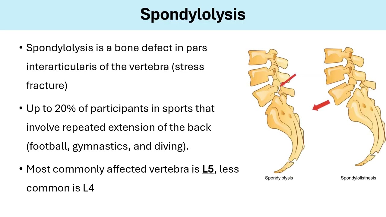 Orthopedics and Sports Medicine Preview