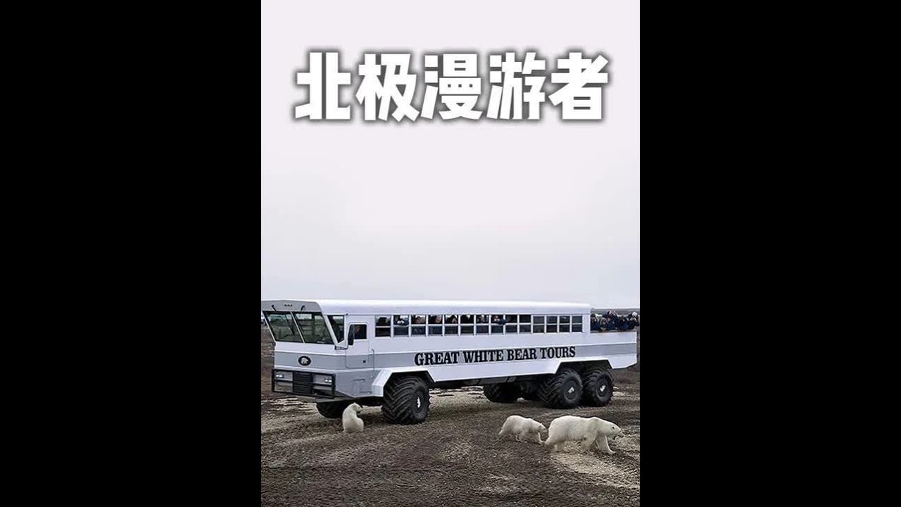 北极熊探险车 #经典老车 #北极熊探险车 #丘吉尔镇苔原车