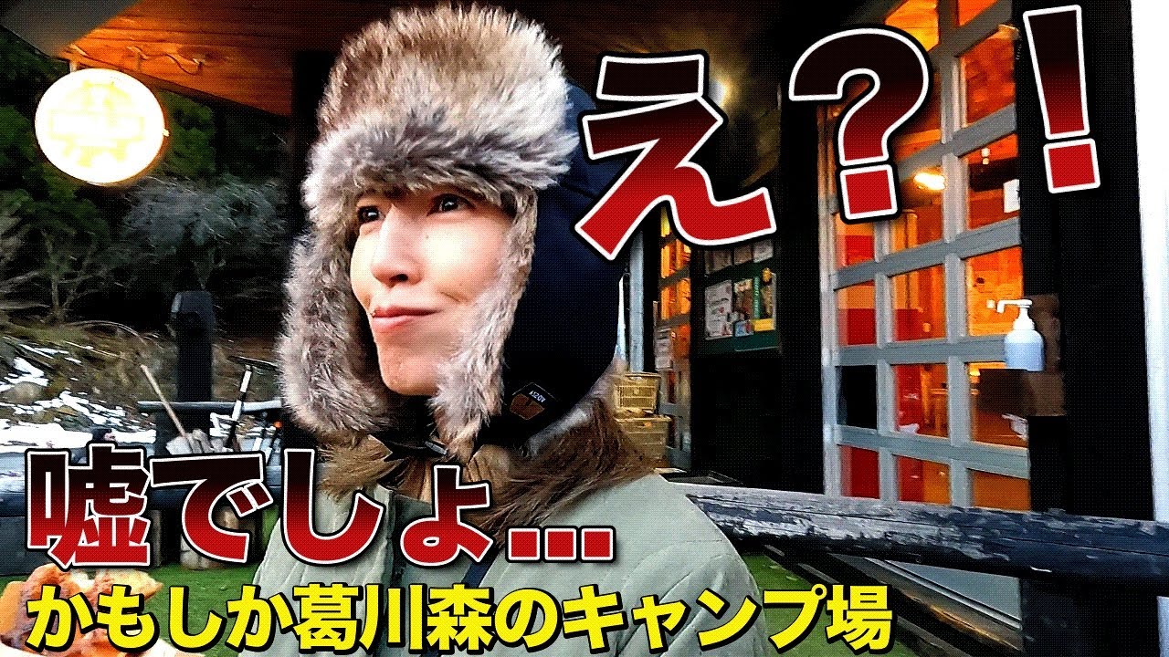 【犬連れ夫婦キャンプ】真冬のかもしか葛川森のキャンプ場で初の完デュオ！悲劇再び  人気なキャンプ場の理由  golden retriever ゴールデンレトリバー 大型犬 多頭飼い