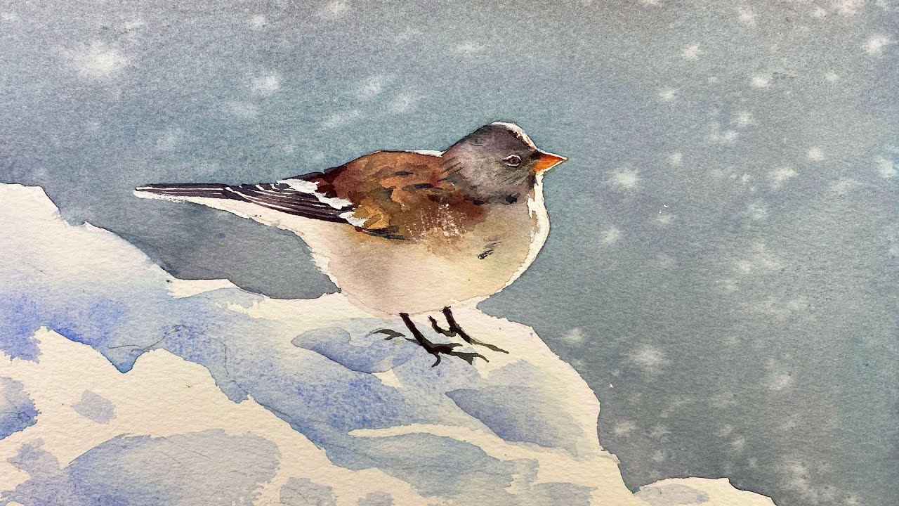 How to paint a bird on snow with watercolor