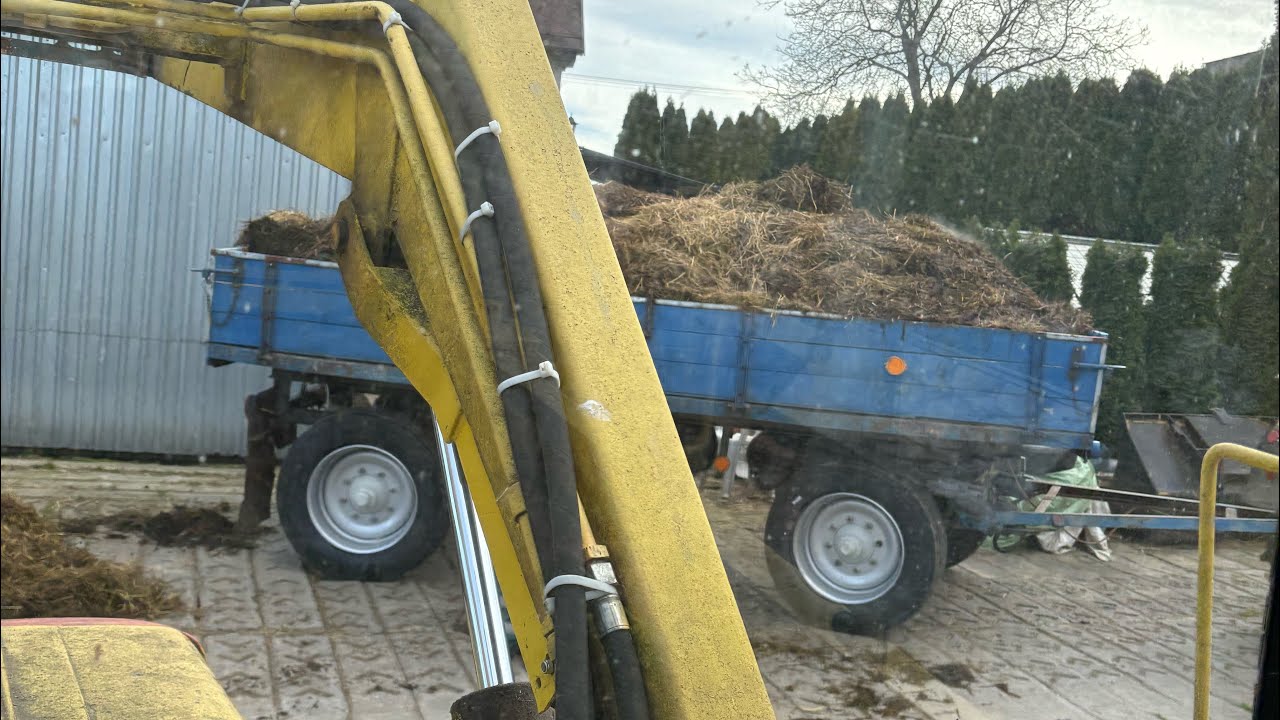 Ostrówek K-162 nakládání hnoje na kontejnérovku   #viralvideo #agriculture #winter 
