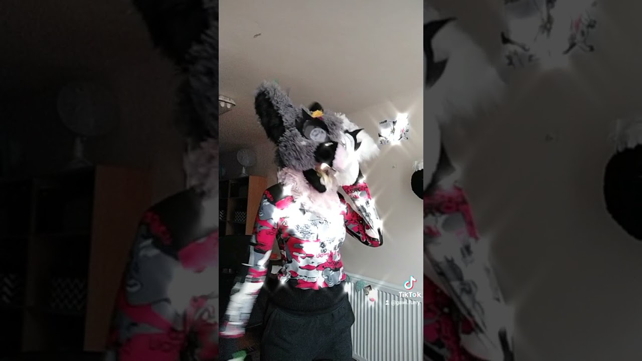 Fursuit, furry, dancing furry