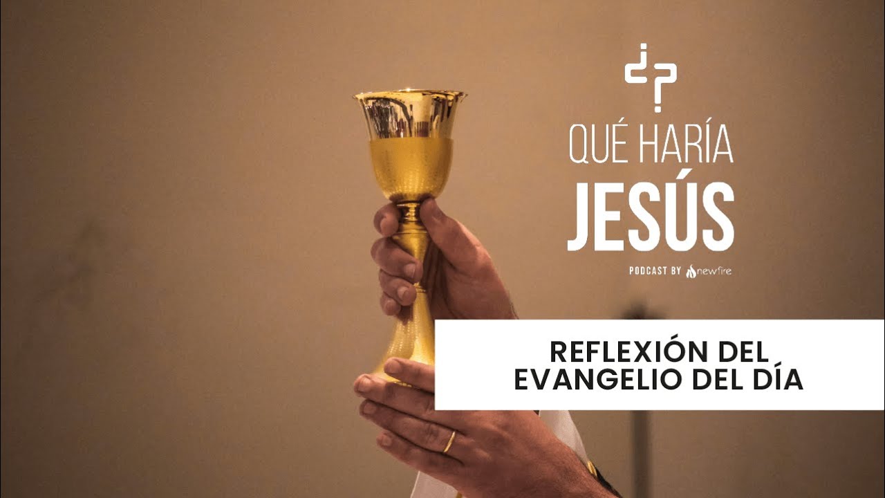 Evangelio de hoy: Sab 8 nov - “Los detalles