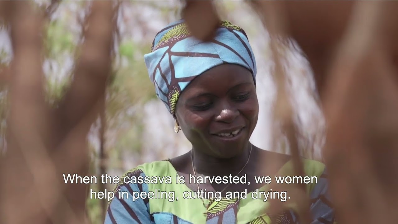 Mole Organic Landscape Enterprise (MOLE) Project—Organic Cassava