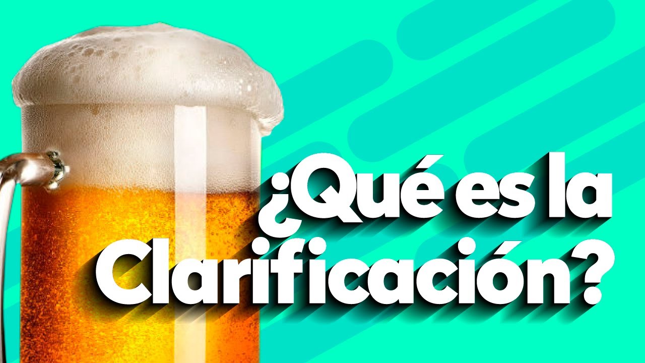 &iquest;Que es la clarificaci&oacute;n?