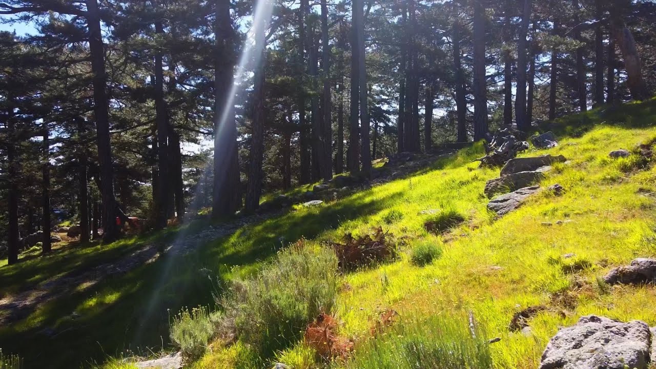Bavella | Drone 4k Corse