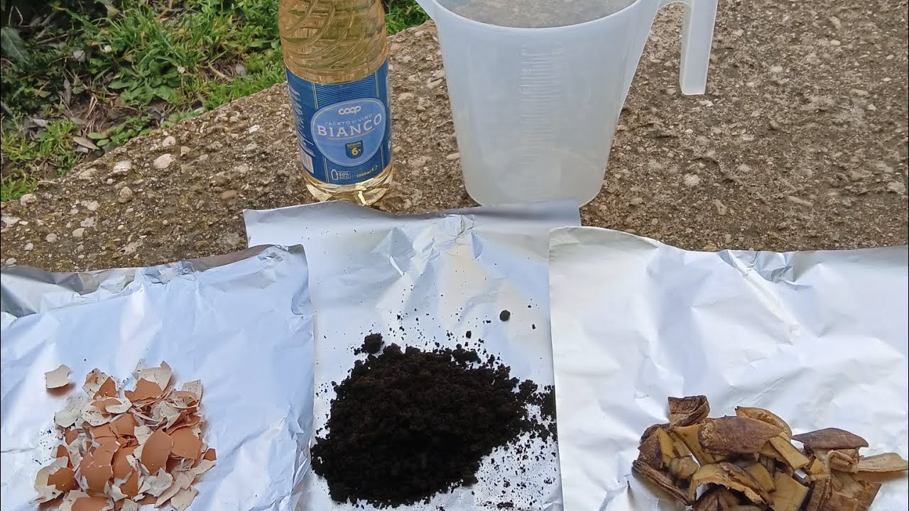 FERTILIZZANTE BIO FERMENTATO......🔝🔝🔝 RICICLATO......  CALCIO.... AZOTO E POTASSIO 🌿🌿🌿💪💪