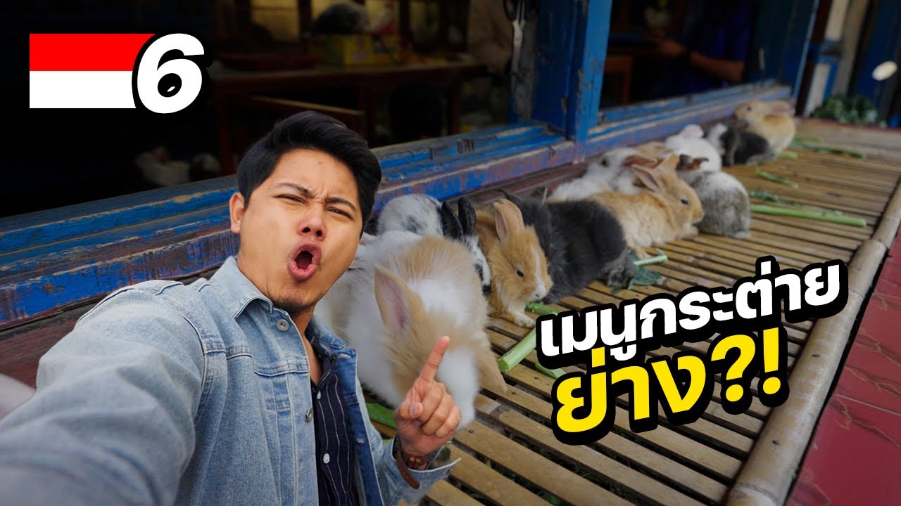 INDONESIA EP.6 | ลุยกินของแปลกอินโดนีเซีย “เจอกระต่ายย่างสดๆ”