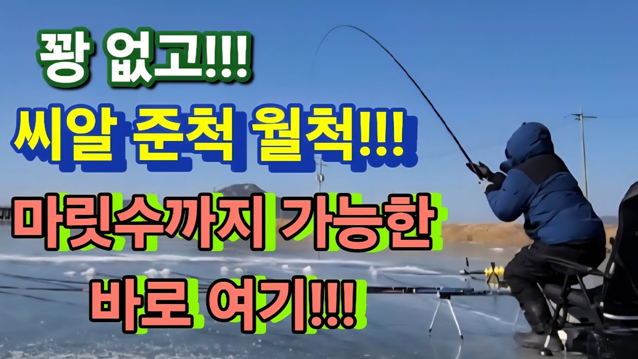 현재 사람없는 이곳!!! 이번주는 여기 추천 드려요~!!