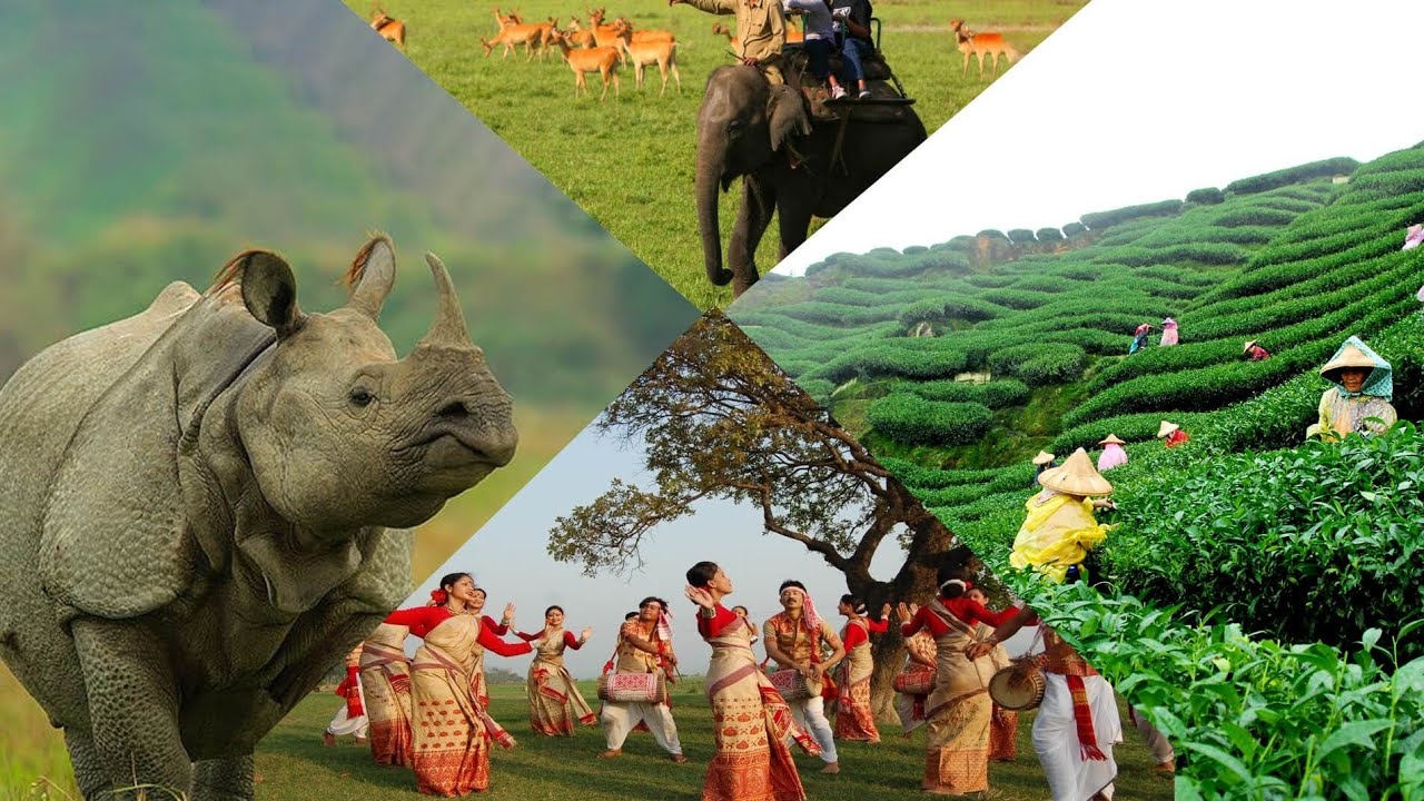 Assam & Assamese Culture Explained | History, Bihu, Tradition 🌿