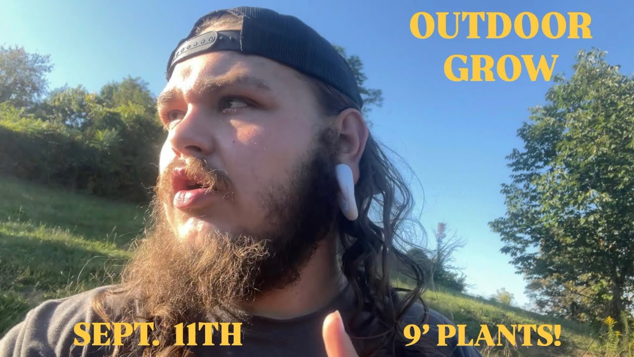 9&rsquo; TALL PLANTS! - 2025 OUTDOOR GROW