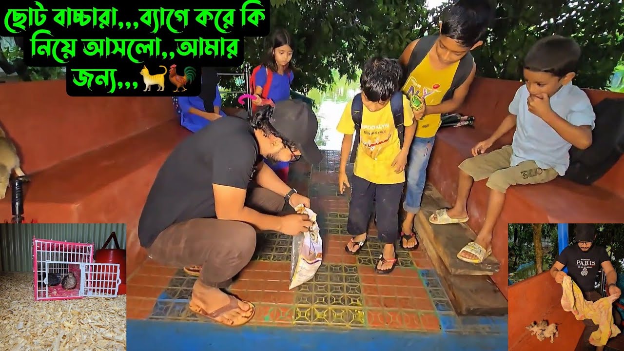ছোট বাচ্চারা,,,ব্যাগে করে কি নিয়ে আসলো,,আমার জন্য,,,🐈🐓