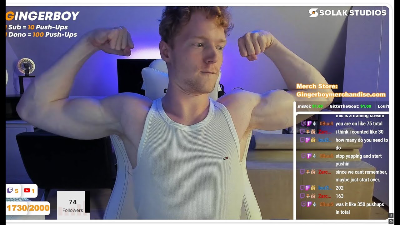Sleep stream Road to 2000 Subs
