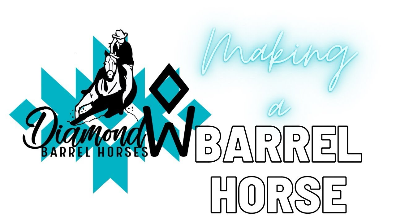 Making A Barrel Horse March 3, 2025