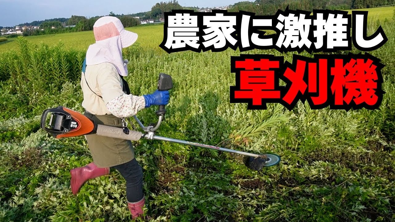 【激推し】農家にピッタリ草刈機！ECHO BSR510を老若男女が絶賛！