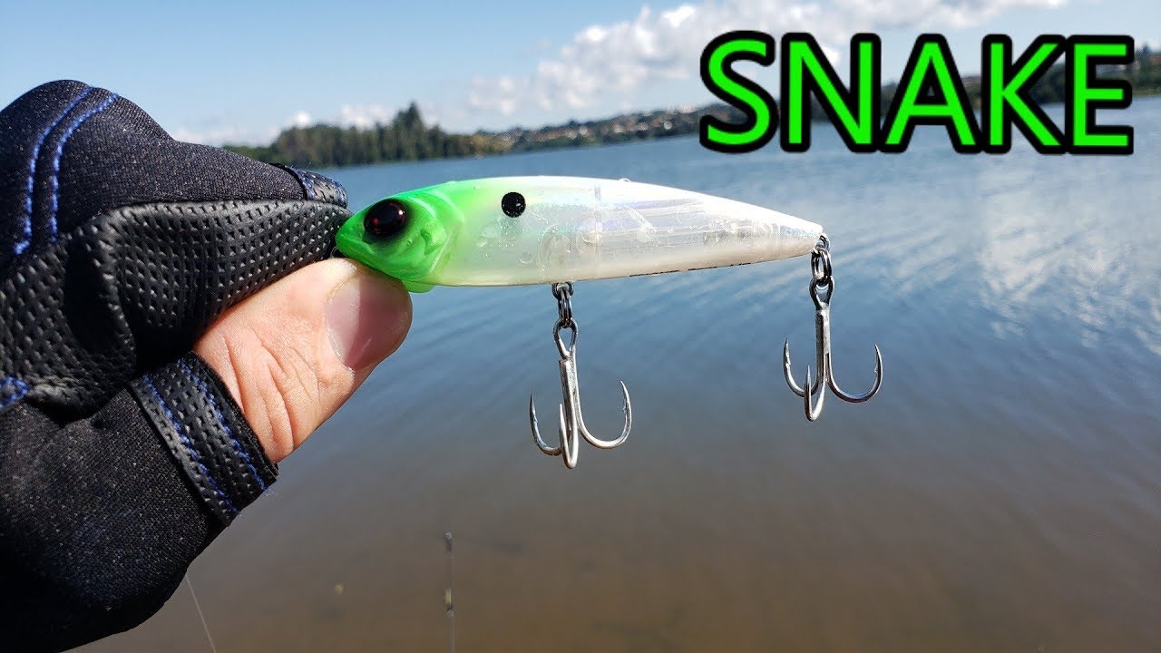 ISCA SNAKE – MARINE SPORTS 2019