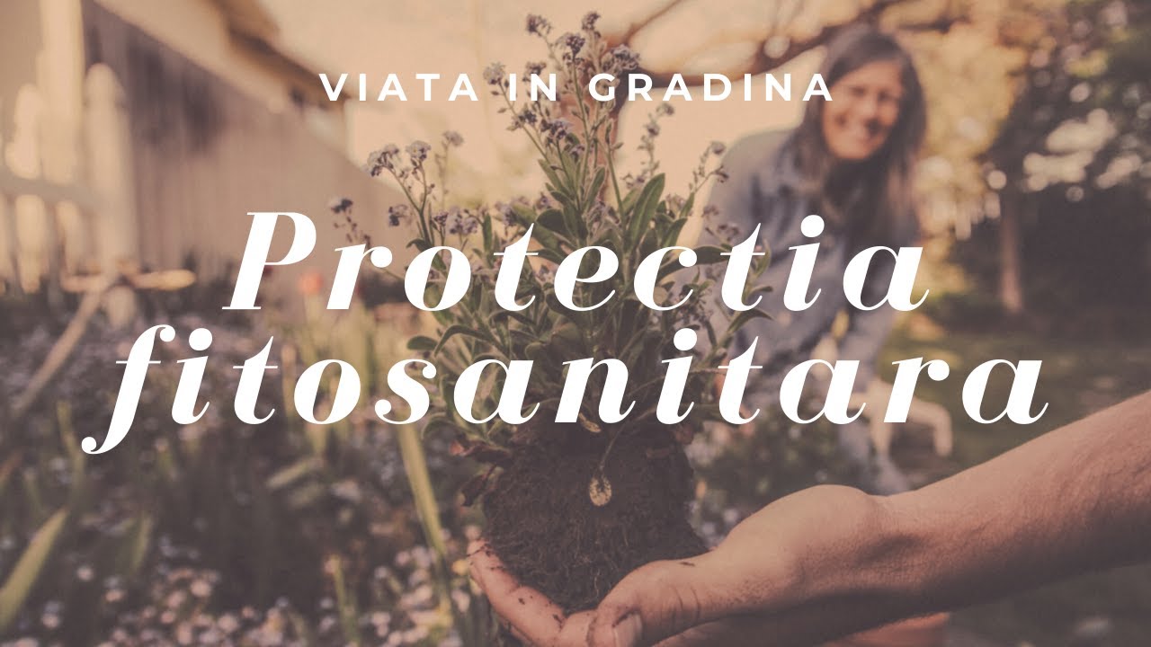 Protectia fitosanitara | VIATA IN GRADINA