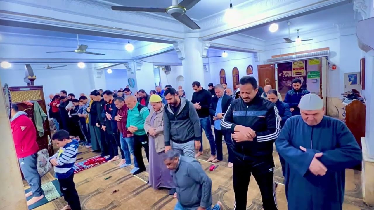 تلاوه تفسيريه مسترسله تفوق الوصف من سورة الحج القارئ محمد حسام الدين 