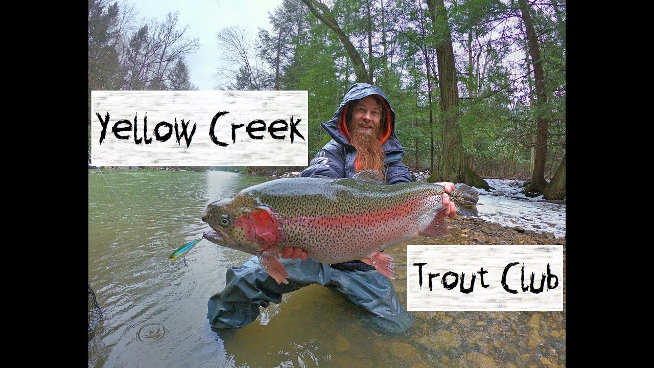 Yellow Creek Trout Club - From Fall to Winter