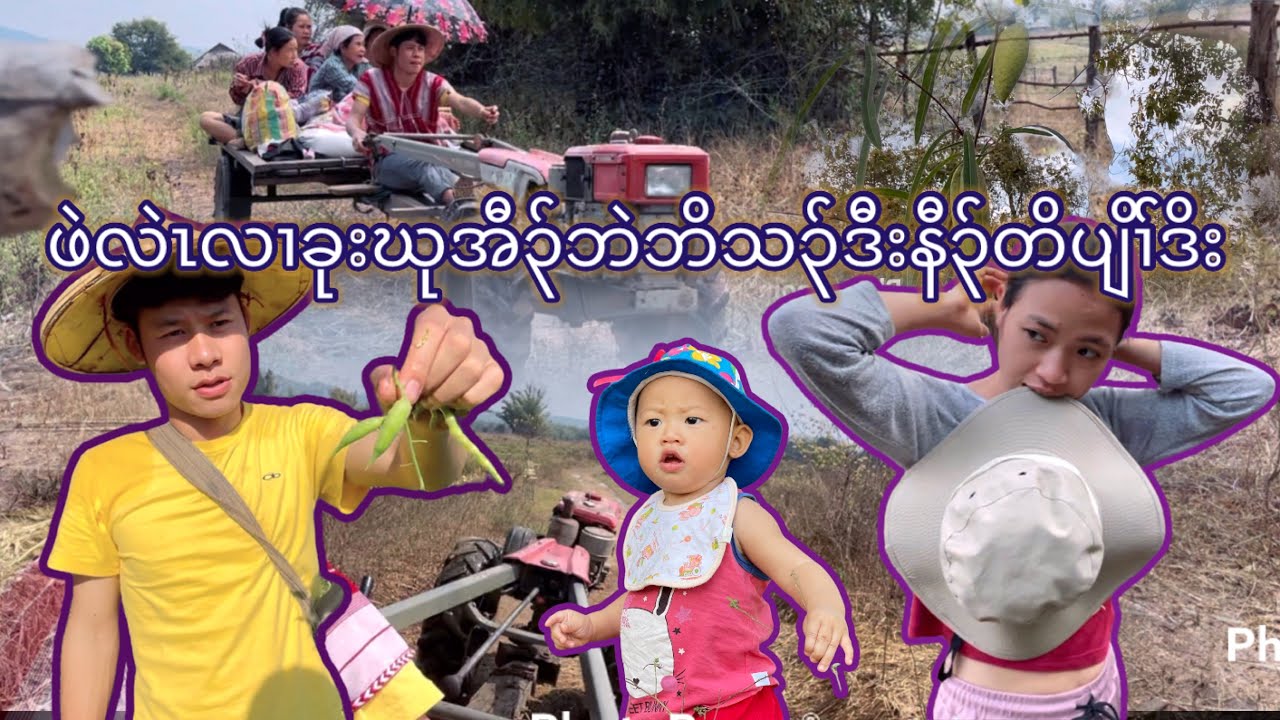 Going to the farm with family and eating the rice together