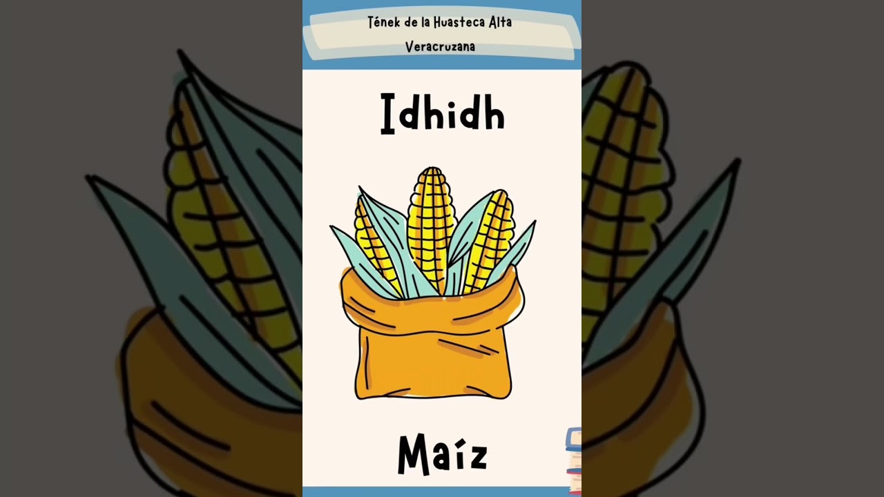 Ma&iacute;z en Huasteco se dice&hellip; #huastecaveracruzana #tenek #huasteco
