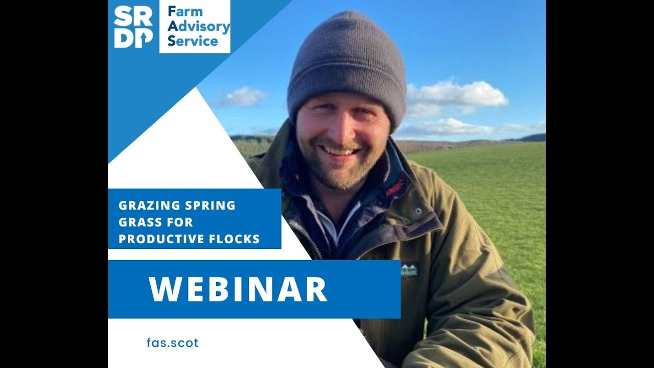 Rotational Grazing at Montalt Farm: Sustainable Sheep Systems