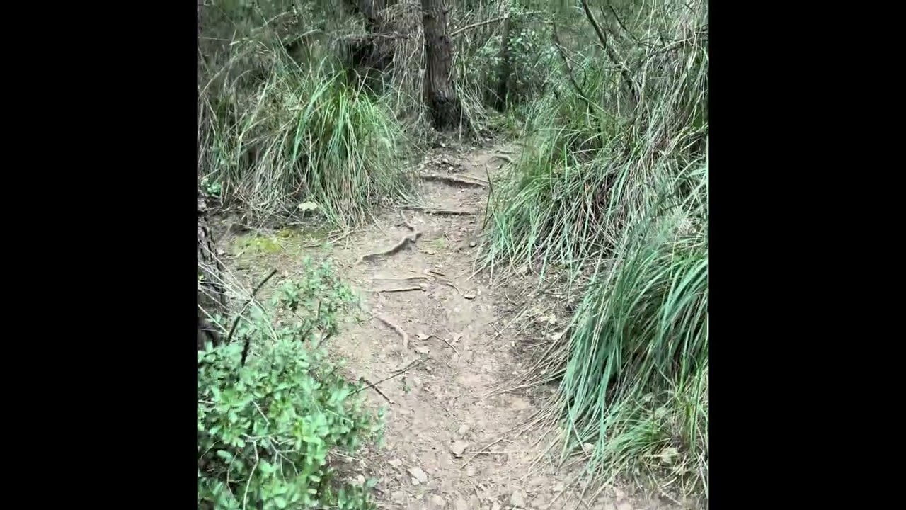 Salida a la Cueva Casimaña 