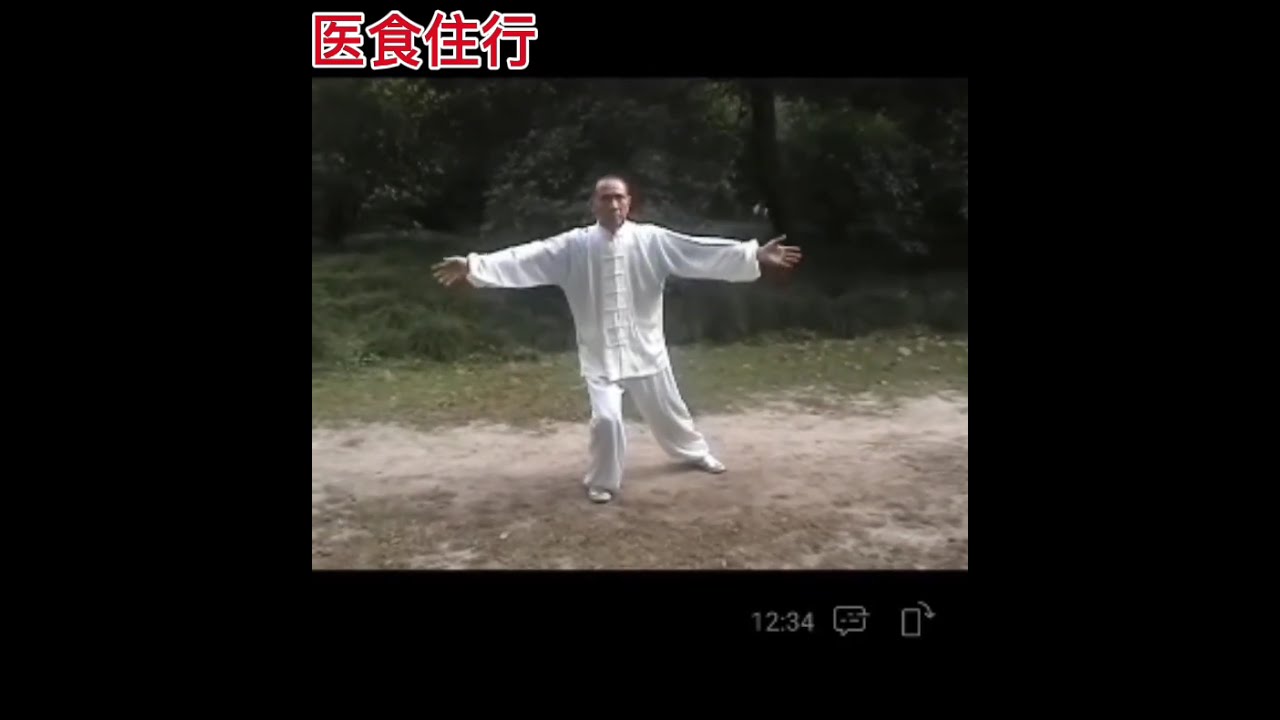 吴式太极拳高峯大师师承马岳梁宗师